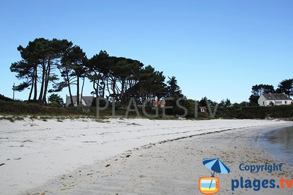 Environnement de la plage de Bassinig à Plouguerneau