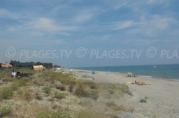 Dunes sur la plage de Linguizzetta en Corse - Chiosura