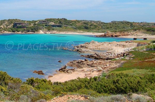 Photo of Grecu beach - island of Cavallo - Corsica