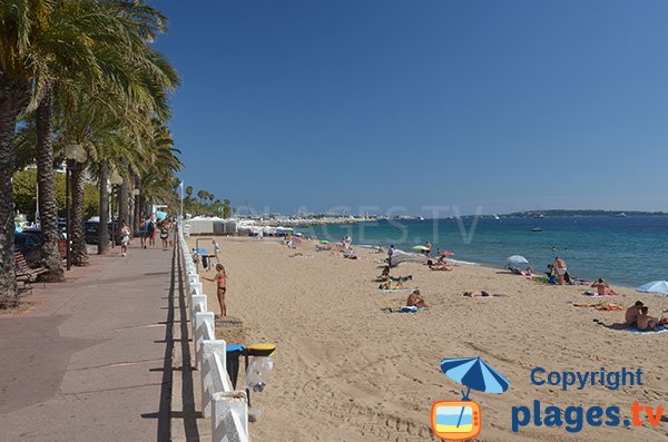 Cannes Beach Nudity - cannes nude beaches - Best Beaches in Cannes, France ...