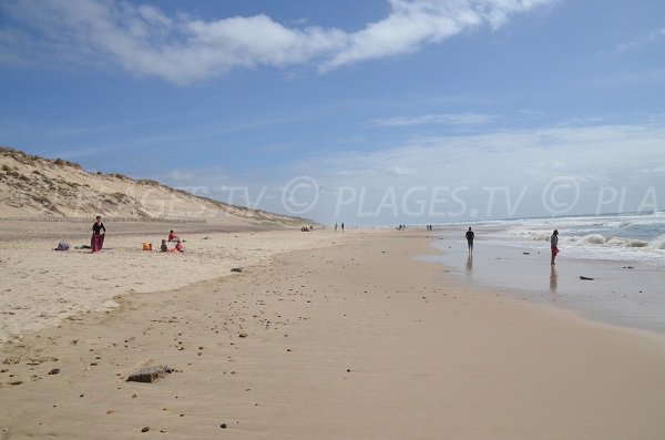 Plage et dunes à Carcans