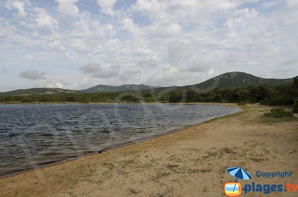 Photo de la plage de Tenuta à Figari